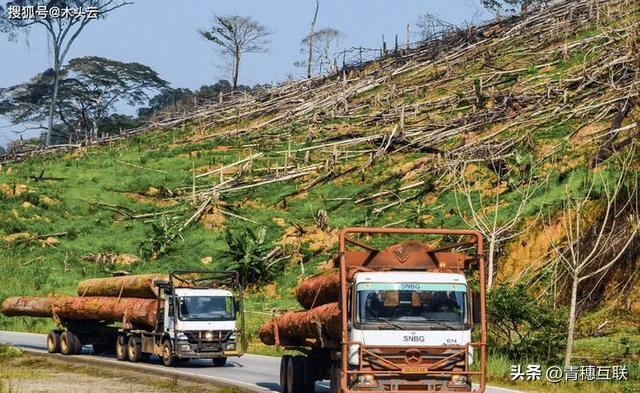 非洲千金远嫁中国三年后母亲来华探望痛哭直言：都是我的错(图2)