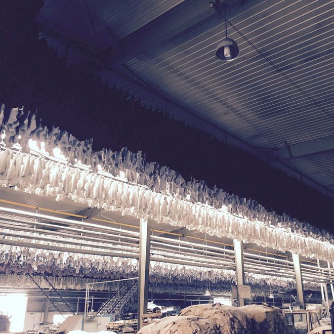 陕西自动皮革设备哪家靠谱——东瑞机械为您提供最佳选择