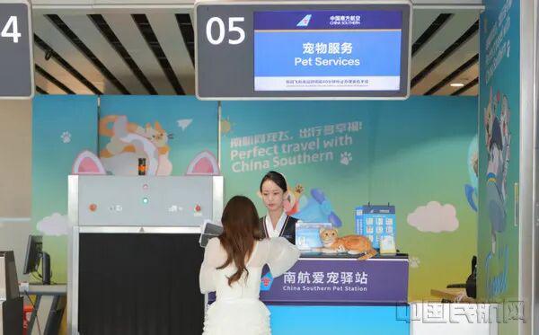 赴山海 迎新岁 民航载你飞向跨年第一程(图4)