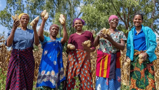 空算力竞赛：马斯克负责画饼中国人负责落实(图7)