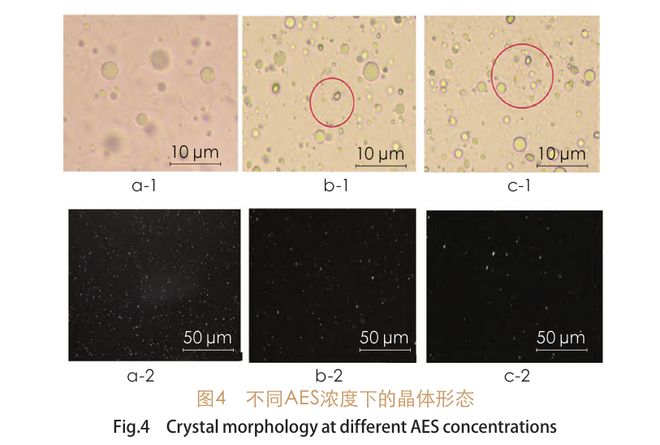 洗发水悬浮稳定新方案：探究三羟基硬脂精晶型对香波的性能影响(图4)