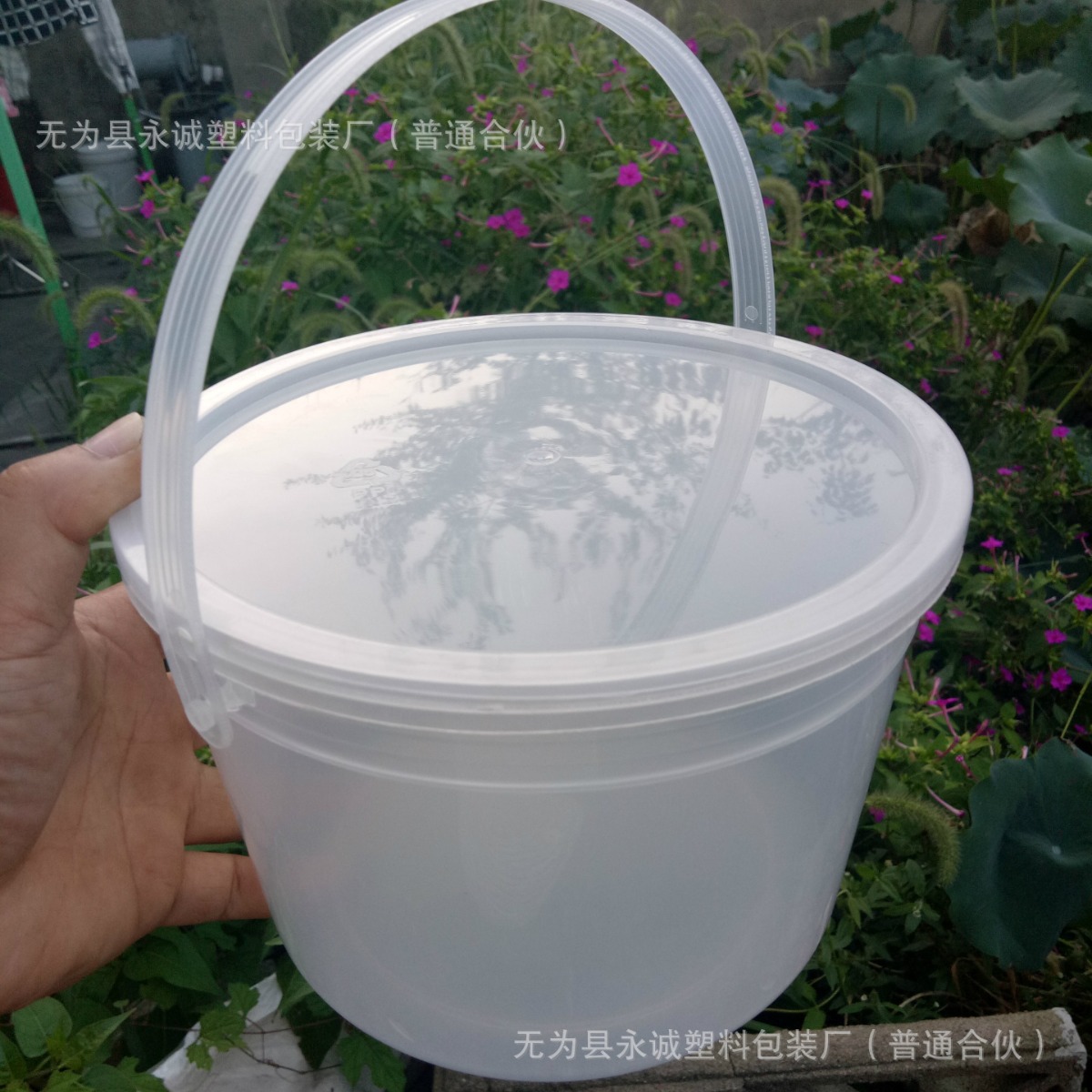 注塑机行业2026年展望：稳步发展与技术创新成焦点(图1)