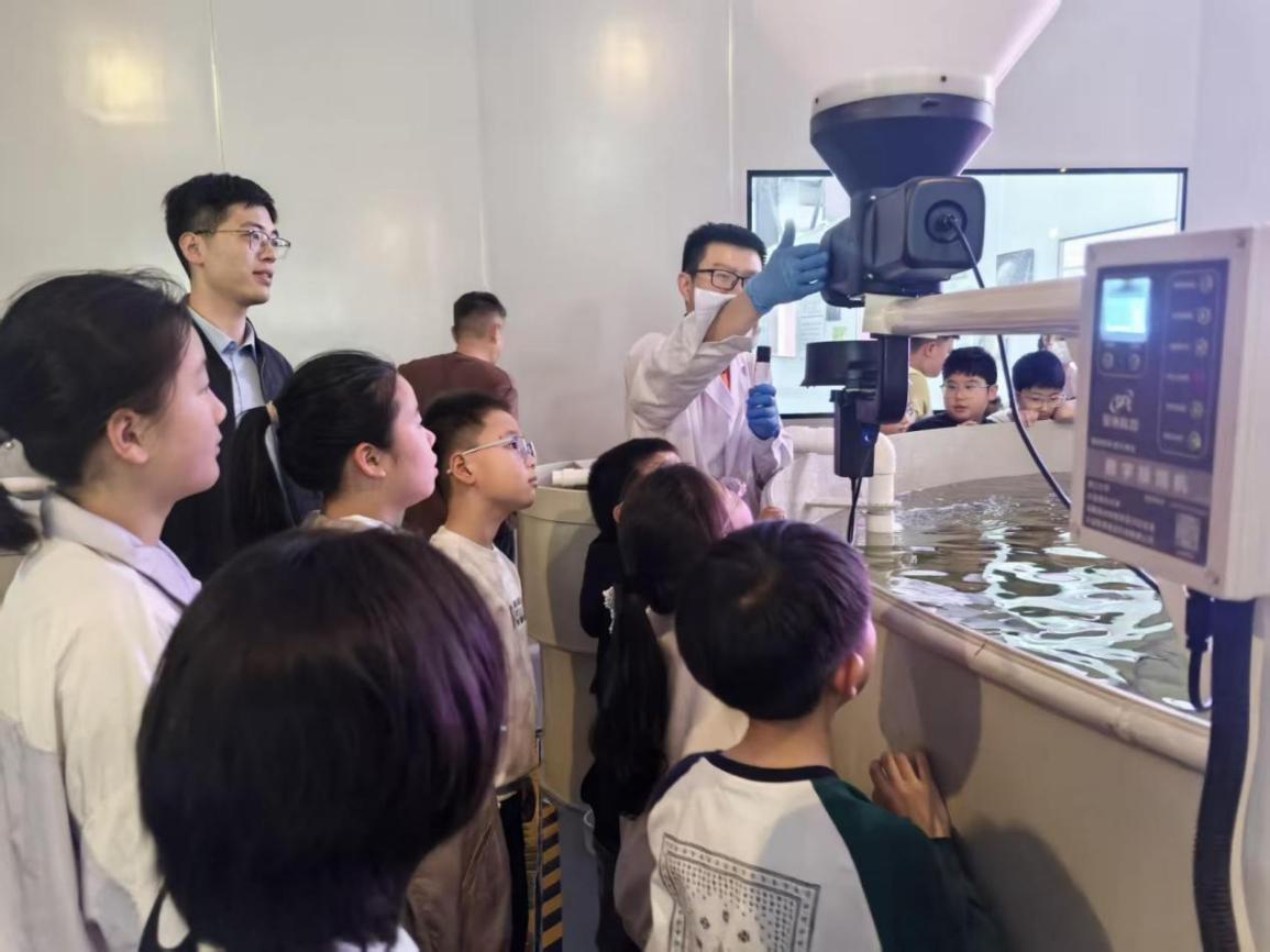 从“小作坊”到“产业强镇”——望直港的四十载跨越密码(图4)
